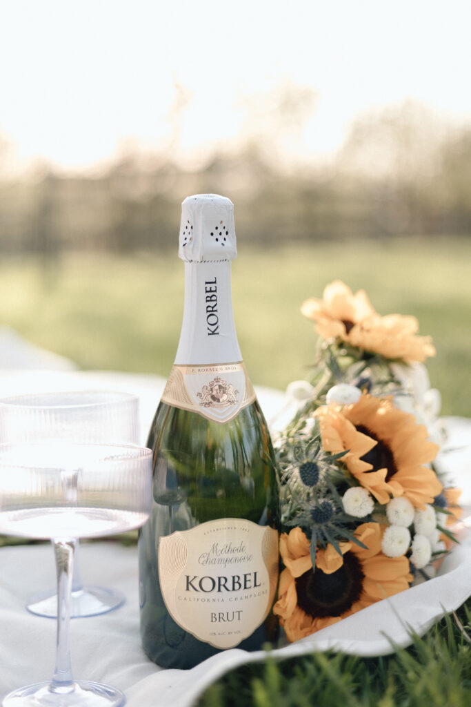 Engagement photo picnic with champagne and flowers. 